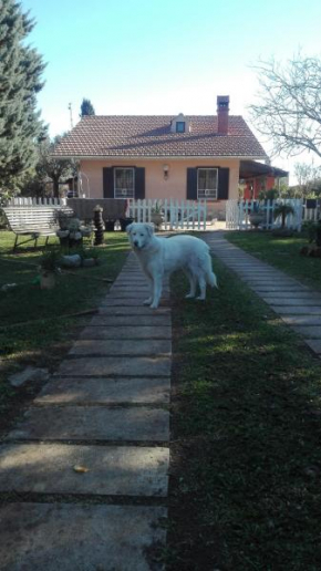 Luciano e Concetta